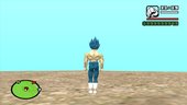 Vegeta Super Sayayin Blue Damaged