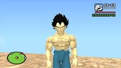 Vegeta Base Damaged