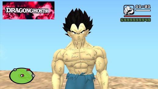 Vegeta Base Damaged