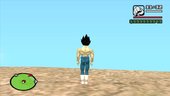 Vegeta Base Damaged