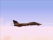 F-14A Pukin Dogs