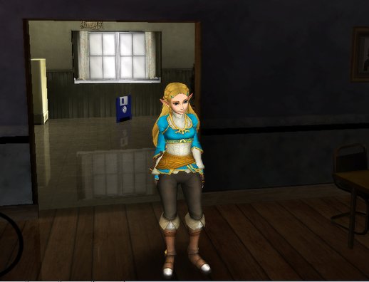 Zelda Hyrule Warriors (BOTW)