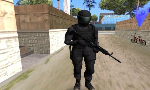 SWAT Skin