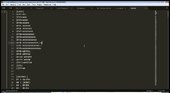 Skin Loader V1.3 Beta