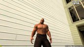 Brock Lesnar (Beast Incarnate) from WWE Immortals