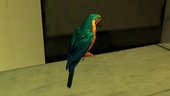 Parrot (HQ model)