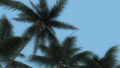 80s HD Vegetation Palm Trees