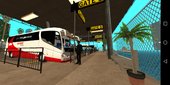 Playa Seville Bus Station
