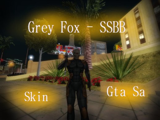 Grey Fox - SSBB