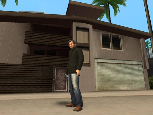 GTA IV Anim