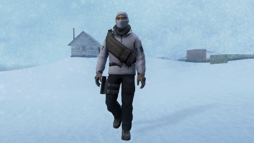 Counter Strike Online 2 Custom Arctic Leet Pack