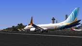 Boeing 737 MAX 8 Livery Pack