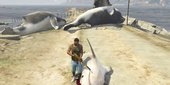 Shark Are Dead In GTA V (modified)