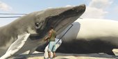 Shark Are Dead In GTA V (modified)