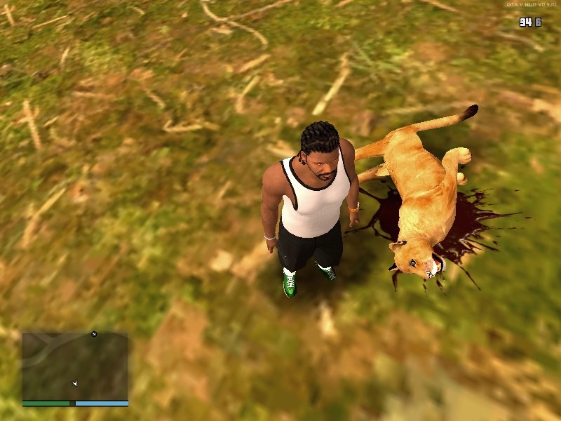 gta v puma