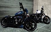 Harley-Davidson® XL883N - Sportster® Iron 883™ 2017