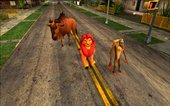 The Lion King Skin Pack