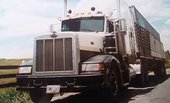 Peterbilt 385