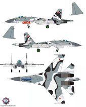 Sukhoi Su 27 Flanker