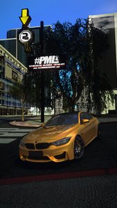 BMW M4 F84 2018