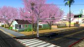 Cherry Trees  1.0