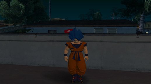 Goku Super Sayains Bleu Evolution