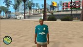 Palmeiras - Camisas 2020