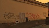Fremon Park Brim