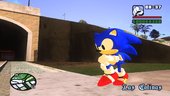 Sonic The Hedgehog (3D Blast)