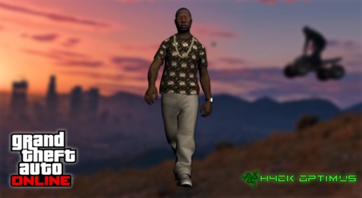 GTA Online Skin Ramdon N11