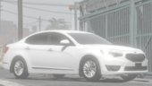 Kia Cadenza 16