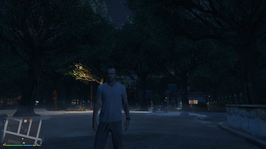 Sandy Shores Trees