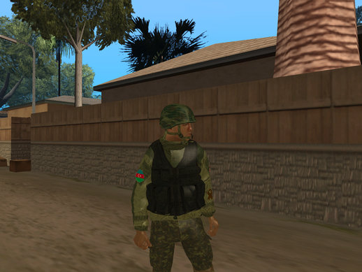 Azerbaijani Soldier
