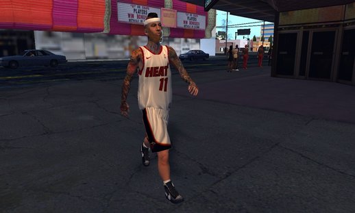 Chris Andersen(Miami Heat)