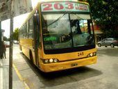 Nuovobus BamBam MB OH1723L - Linea 203 Azul SATA