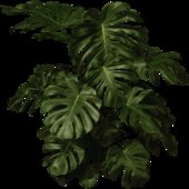 Xbox/Mobile Vegetation Ported to PC