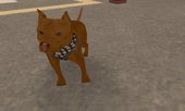 Pitbull for San Andreas Mod