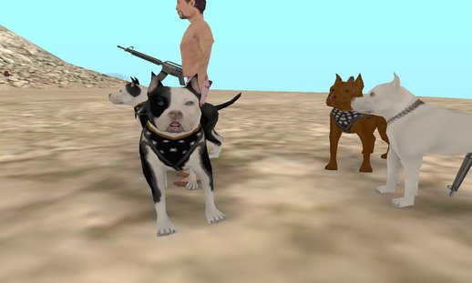 Pitbull for San Andreas Mod