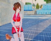 PDFT Meiko Skin