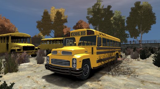 School Bus