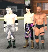 WWF Attitude Era Skin Pack