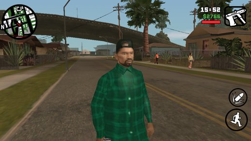 Fam3 Grove Street Skin