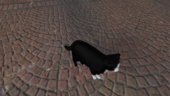 The Tuxedo House Cat Mod