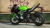 2019 Kawasaki ZX-6R