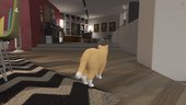Mogie The House Cat Mod