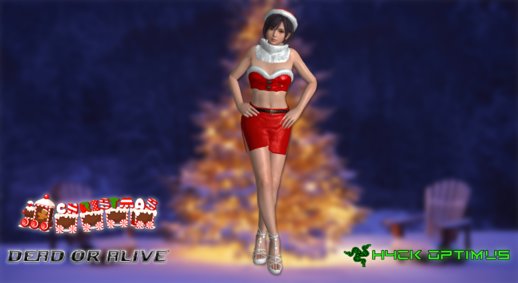 DOA Nagisa Berry Burberry Christmas Special