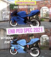 ENB PED SPEC 2021