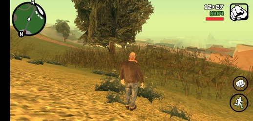 Weather & Grass like PS2 for Android