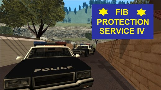 FIB Protection Service IV