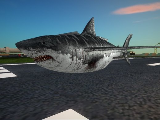 Shark Plane